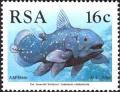 Colnect-824-077-West-Indian-Ocean-Coelacanth-Latimeria-chalumnae.jpg