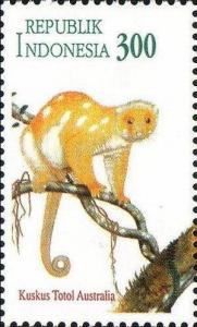 Colnect-1142-269-Common-Spotted-Cuscus-Spilocuscus-maculatus.jpg