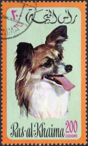 Colnect-978-722-Papillon-Canis-lupus-familiaris.jpg