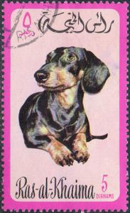 Colnect-978-718-Dachshund-Canis-lupus-familiaris.jpg