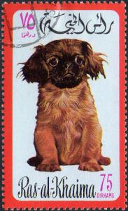 Colnect-978-720-Pekinese-Canis-lupus-familiaris.jpg