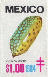 Colnect-2207-038-Jester-cowry-Cypraea-scurra.jpg