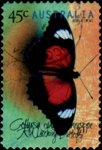 Colnect-2013-445-Red-Lacewing-Cethosia-cydippe-chrisippe.jpg