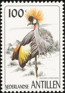 Colnect-960-122-Grey-Crowned-Crane%C2%A0Balearica-regulorum.jpg