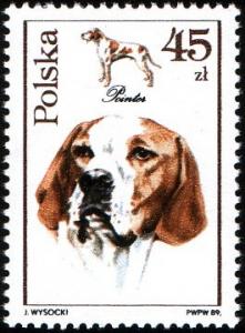 Colnect-1968-058-Pointer-Canis-lupus-familiaris.jpg