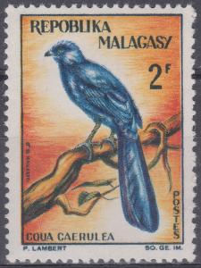 Colnect-1415-412-Blue-Coua-Coua-caerulea.jpg