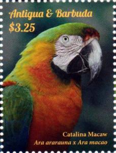 Colnect-2977-552-Catalina-macaw.jpg