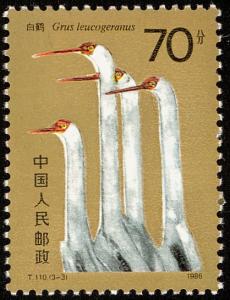 Colnect-4048-390-Siberian-Crane-Grus-Leucogeranus.jpg