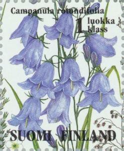 Colnect-160-251-Harebell-Campanula-rotundifolia.jpg