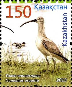 Colnect-3595-927-Eurasian-Curlew-Numenius-arquata.jpg