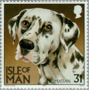 Colnect-125-087-Dalmatian-Canis-lupus-familiaris.jpg