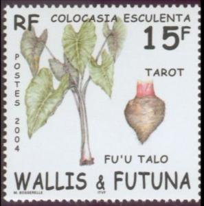 Colnect-900-733-Tarot-Colocasia-esculenta.jpg