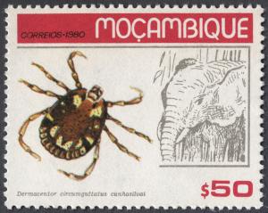 Colnect-1001-532-Hard-Tick-Dermacentor-circumguttatus-cunhasilvai-African-.jpg