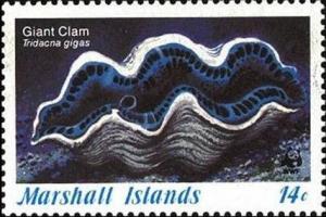 Colnect-1010-587-Giant-Clam-Tridacna-gigas-.jpg