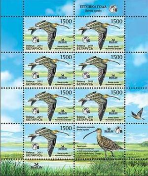 Colnect-1064-073-Eurasian-Curlew-Numenius-arquata.jpg