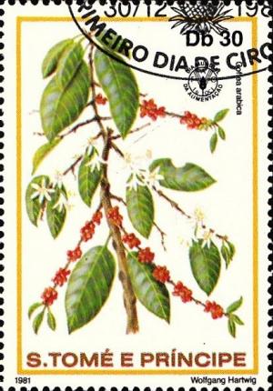 Colnect-1143-229-Coffea-arabica.jpg