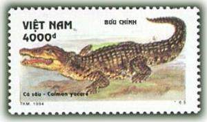 Colnect-1160-402-Yacare-Caiman-Caiman-yacare.jpg