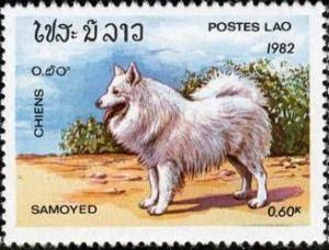 Colnect-1206-795-Samoyed-Canis-lupus-familiaris.jpg