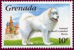 Colnect-1252-653-Samoyed-Canis-lupus-familiaris.jpg