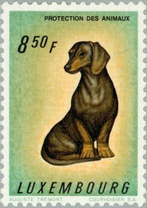 Colnect-133-991-Dachshund-Canis-lupus-familiaris.jpg