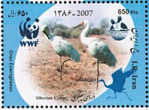 Colnect-1460-703-Siberian-Crane-Grus-leucogeranus.jpg