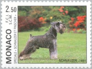 Colnect-149-470-Schnauzer-Canis-lupus-familiaris.jpg