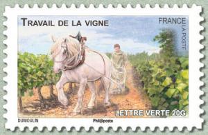 Colnect-1527-778-Horse-Equus-ferus-caballus-working-in-the-Vineyard.jpg