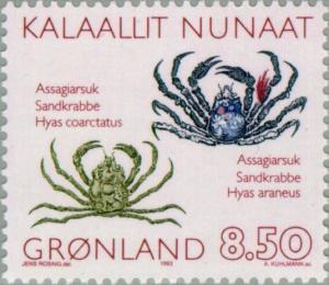 Colnect-158-497-Arctic-Lyre-Crab-Hyas-coarctatus-Great-Spider-Crab-Hyas-.jpg