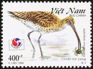 Colnect-1613-152-Eurasian-Curlew-Numenius-arquata.jpg