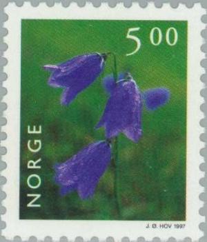 Colnect-162-551-Harebell-Campanula-rotundifolia.jpg