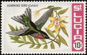 Colnect-1766-913-Purple-throated-Carib-nbsp-Eulampis-jugularis-.jpg