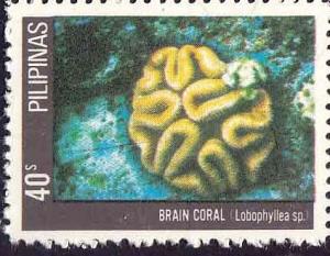 Colnect-2034-172-Brain-Coral-Lobophyllea-sp.jpg