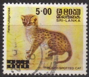 Colnect-2104-962-Rusty-spotted-Cat-Prionailurus-rubiginosus.jpg