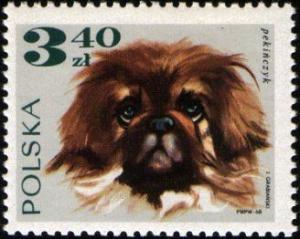 Colnect-2114-272-Pekinese-Canis-lupus-familiaris.jpg