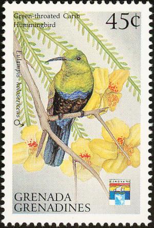 Colnect-2193-385-Green-throated-Carib-Sericotes-holosericeus.jpg