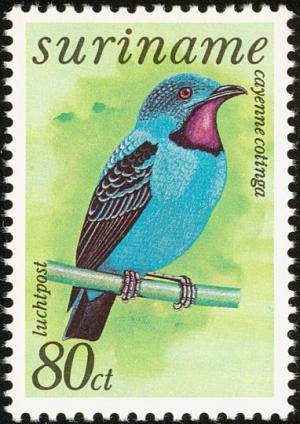 Colnect-2315-495-Spangled-Cotinga-Cotinga-cayana.jpg