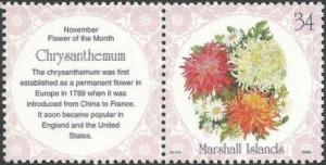 Colnect-2457-748-Chrysanthemum.jpg