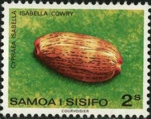 Colnect-2613-285-Isabella-Cowry-Cypraea-isabella.jpg