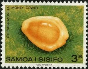 Colnect-2613-286-Money-Cowry-Cypraea-moneta.jpg