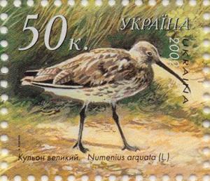 Colnect-2859-407-Eurasian-Curlew-Numenius-arquata.jpg