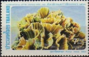 Colnect-3023-014-Lettuce-Coral-Pectinia-lactuca.jpg