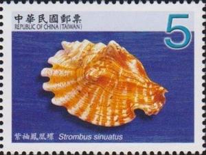 Colnect-3067-641-Lacinate-Conch-Strombus-sinuatus.jpg