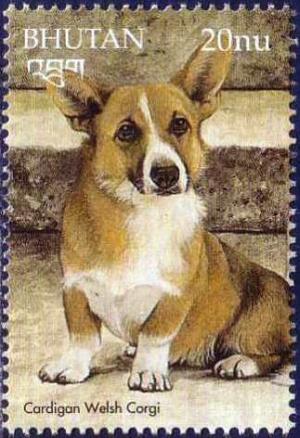 Colnect-3377-318-Cardigan-Welsh-Corgi-Canis-lupus-familiaris.jpg