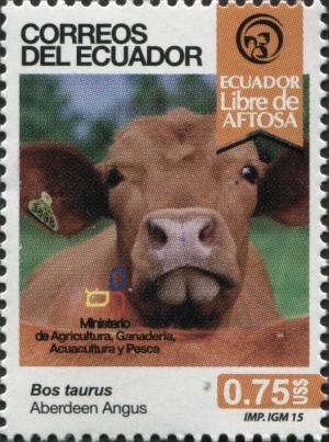 Colnect-3418-760-Aberdeen-Angus-Cattle-Bos-primigenius-taurus.jpg