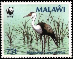 Colnect-3493-588-Wattled-Crane-Grus-carunculata.jpg