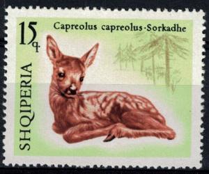 Colnect-3626-272-Fawn-Capreolus-capreolus.jpg