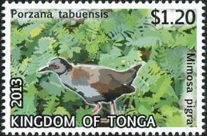 Colnect-3742-813-Spotless-Crake-Porzana-tabuensis.jpg