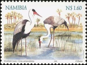 Colnect-3744-554-Wattled-Crane-Grus-carunculata.jpg