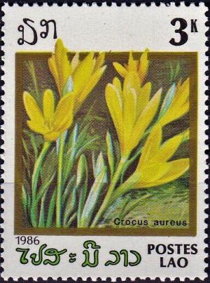 Colnect-4031-657-Crocus-aureus.jpg