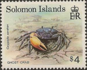 Colnect-4033-331-Ghost-crab-Ocypode-saratan.jpg